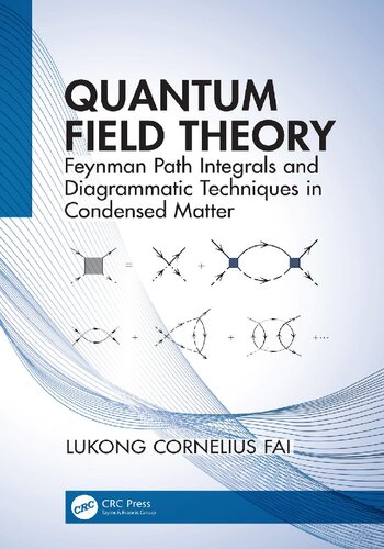 Quantum Field Theory: Feynman Path Integrals and Diagrammatic Techniques in Condensed Matter