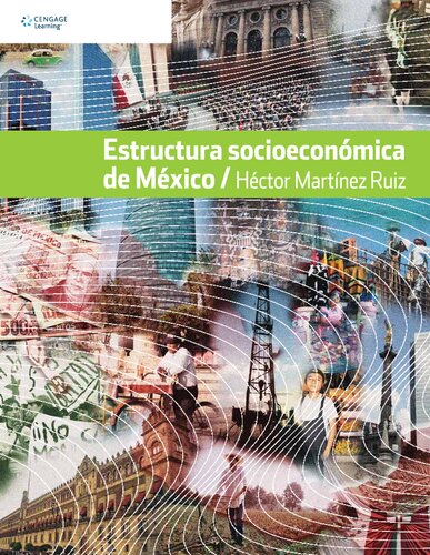 Estructura socioeconómica de México