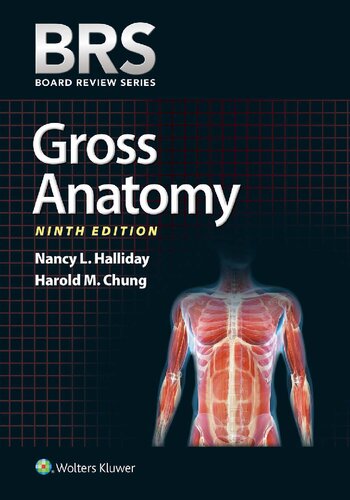 BRS GROSS ANATOMY.
