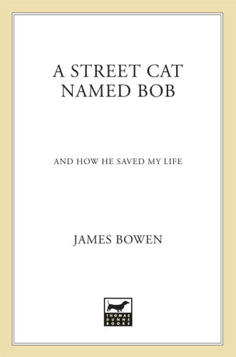 A street cat named Bob: and how he saved my life