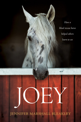 Joey: how a blind rescue horse helped others learn to see