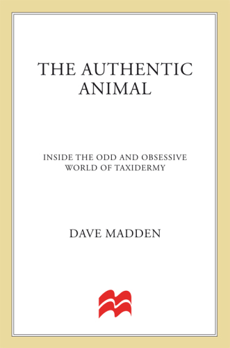 The authentic animal: inside the odd and obsessive world of taxidermy