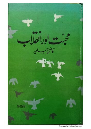 محبت اور انقلاب