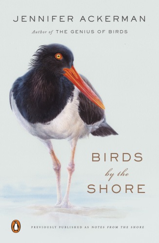 Birds by the shore: observing the natural life of the atlantic coast
