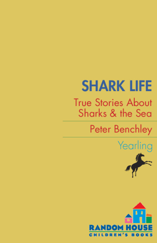 Shark Life True Stories About Sharks & the sea