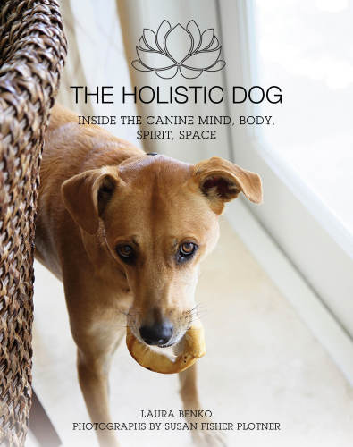The holistic dog: inside the canine mind, body, spirit, space