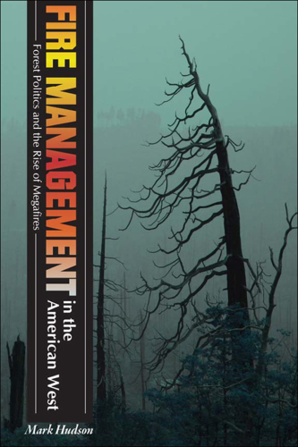 Fire management in the American West: forest politics and the rise of megafires