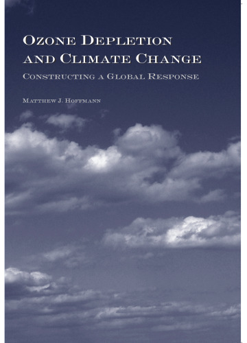 Ozone Depletion And Climate Change: Constructing A Global Response
