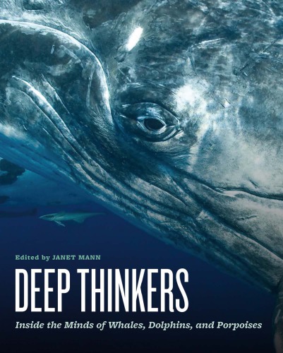 Deep thinkers inside the minds of whales, dolphins, and porpoises