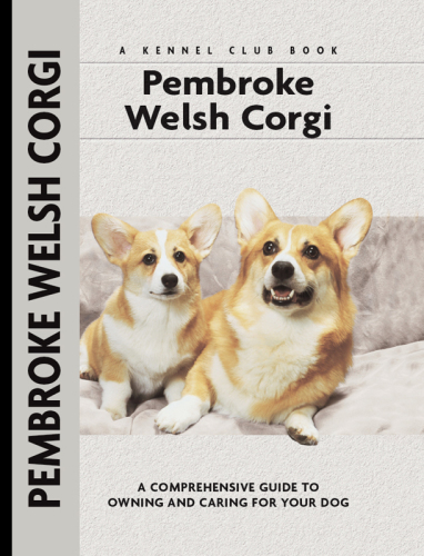 Pembroke Welsh Corgi