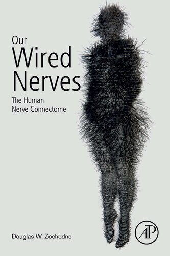 Our Wired Nerves: The Human Nerve Connectome