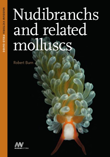Nudibranchs and related molluscs