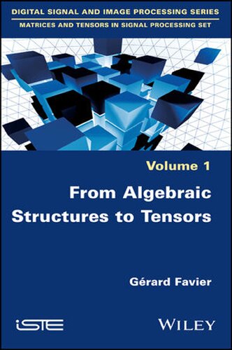 From Algebraic Structures to Tensors (Digital Signal and Image Processing: Matrices and Tensors in Signal Processing Set)
