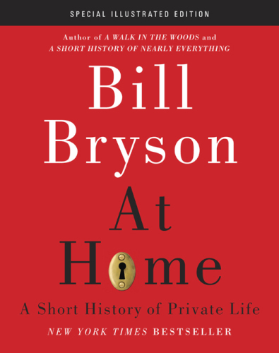 At home: a short history of private life