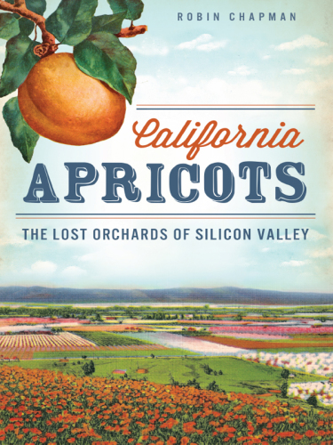California apricots: the lost orchards of the Silicon Valley