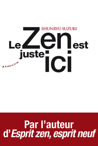 Le zen est juste ici: témoignages et anecdotes sur l'enseignement