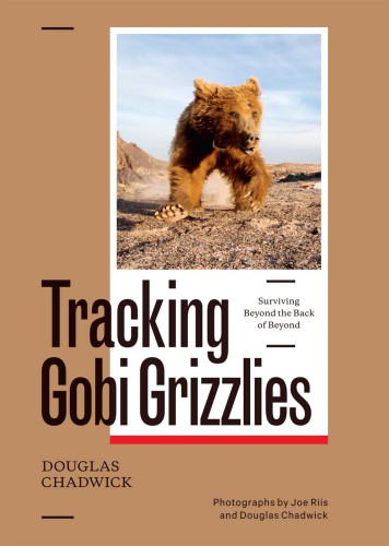 Tracking Gobi grizzlies: surviving beyond the back of beyond