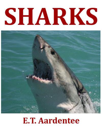 Sharks: A Picture Book of Fun Facts about Sharks for Young Readers Aged 8 and Up