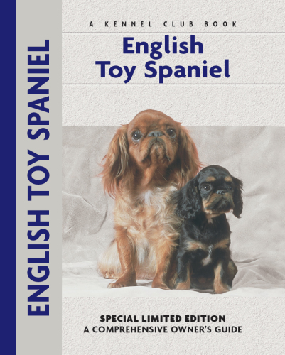 English Toy Spaniel