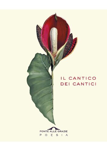 Il cantico dei cantici. Testo ebraico a fronte