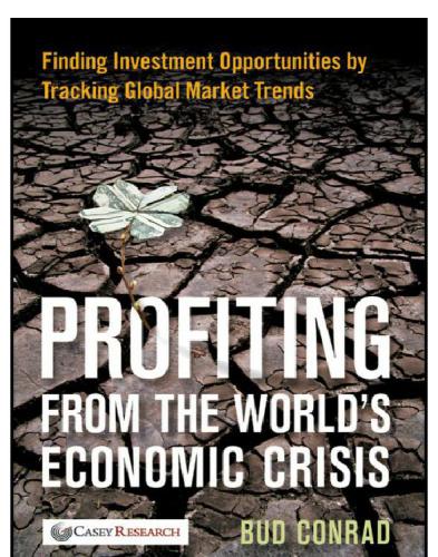 Profiting from the world's economic crisis: finding investment opportunities by tracking global market trends