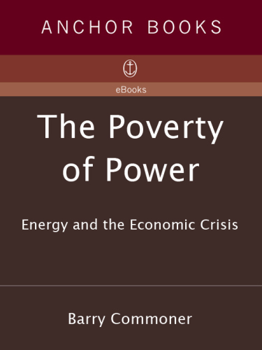 The poverty of power: energy and the economic crisis