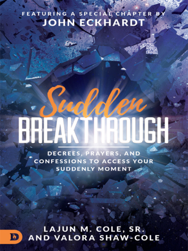 SUDDEN BREAKTHROUGH: decrees, prayers, and confessions to access your suddenly moment