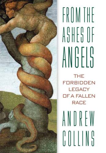 From the ashes of angels: the forbidden legacy of a fallen race