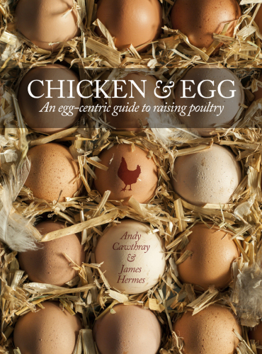 Chicken & egg: raising chickens to get the eggs you want