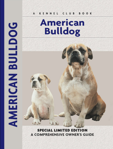 American Bulldog