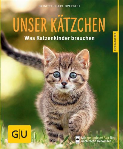 Unser Kätzchen Was Katzenkinder brauchen