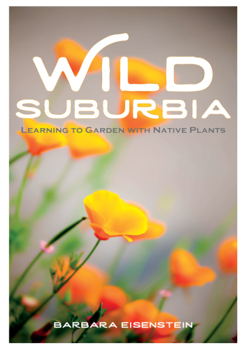 Wild suburbia: learning to garden with native plants