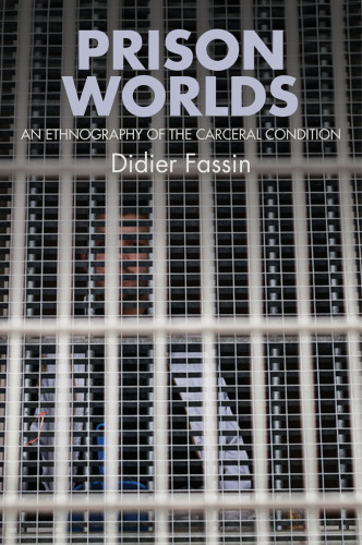 Prison worlds: an ethnography of the carceral condition