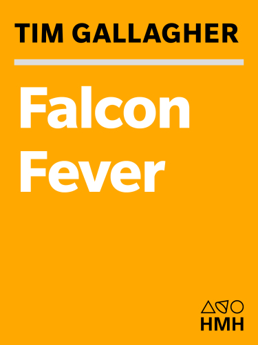 Falcon fever: a falconer in the twenty-first century