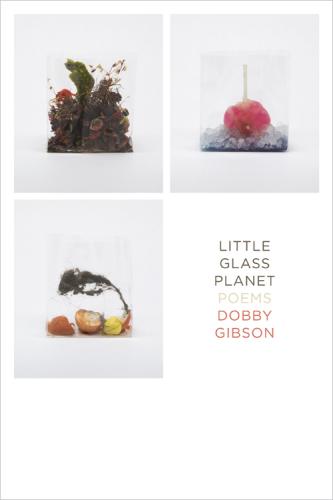 Little glass planet: poems