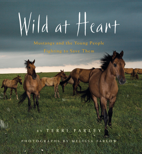 Wild at heart: mustangs and the young people fighting to save them