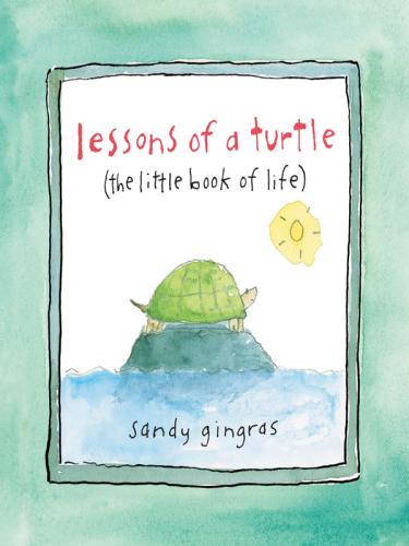 Lessons of a turtle: the little book of life