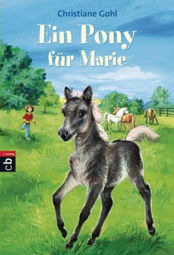 Ein Pony für Marie