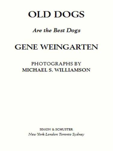 Old Dogs: Are the Best Dogs