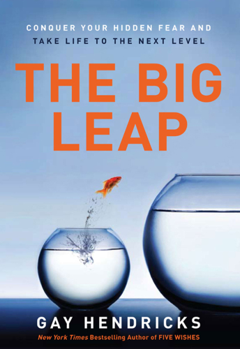 The big leap: conquer your hidden fear and take life to the next level