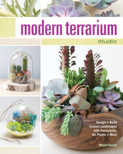 Modern terrarium studio: design + build custom landscapes with succulents, air plants + more