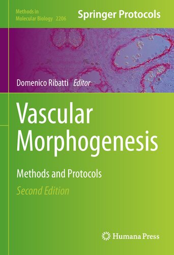 VASCULAR MORPHOGENESIS : methods and protocols.