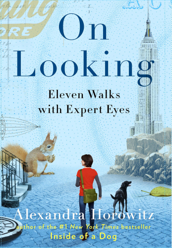 On Looking: a Walker's Guide to the Art of Observation
