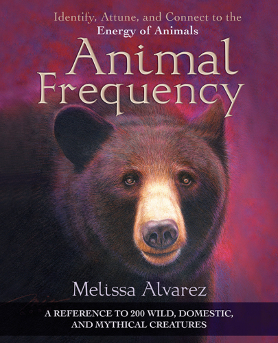Animal frequency: identify, attune, and connect to the energy of animals