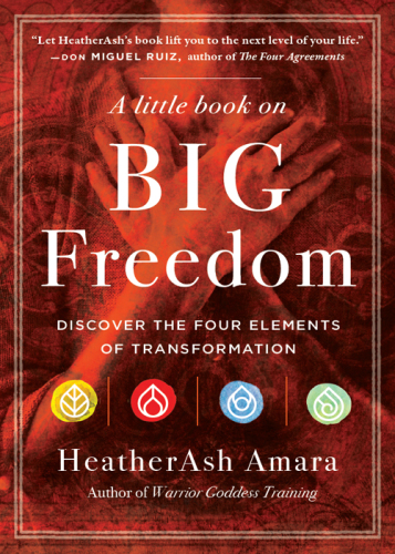 A Little Book on Big Freedom Discover the Four Elements of Transformation