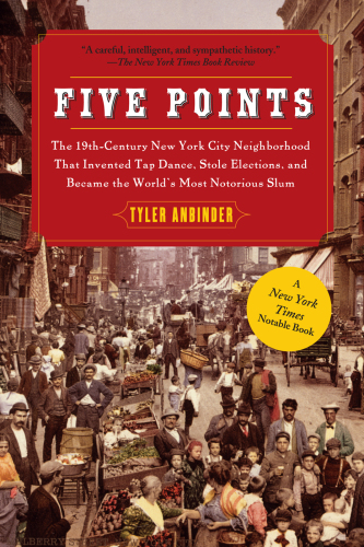 Five Points: the Nineteenth-Century New York City Neighborhood