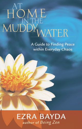 At home in the muddy water: a guide to finding peace within everyday chaos
