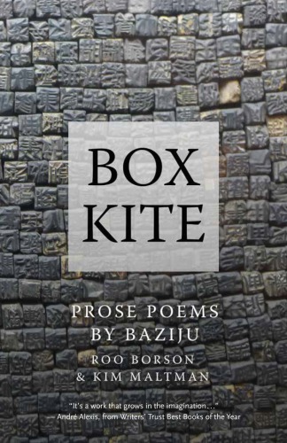Box kite: prose poems