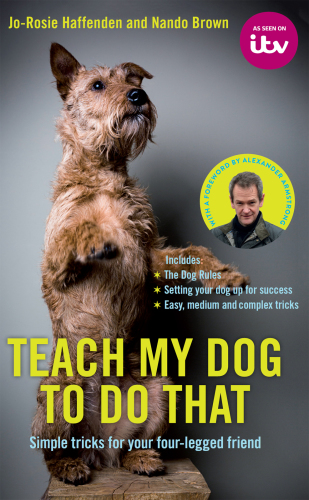 Teach my dog to do that: simple tricks for your four-legged friend