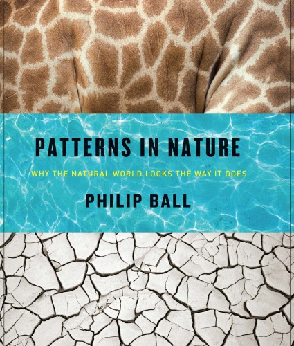 Patterns in nature: why the natural world looks the way it does